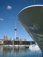 Tigre Dor Auckland