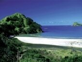 Great Barrier Island
