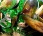 Green Lipped Mussels Green Lipped Mussels