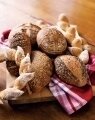 Bread Bread
